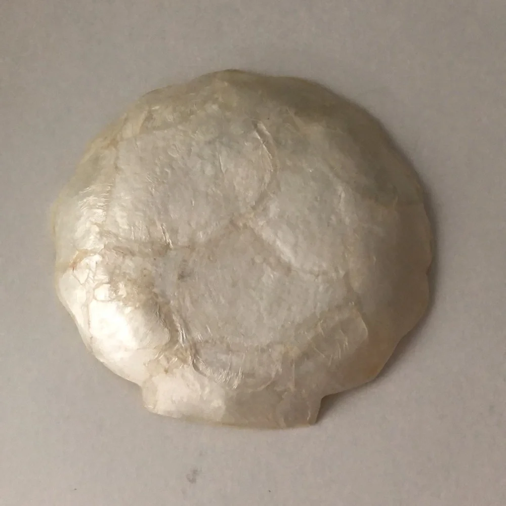 NEW Capiz shell jewelry or soap dish